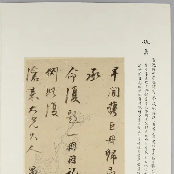 제11권