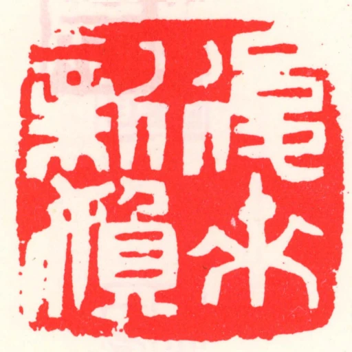 後來新媍