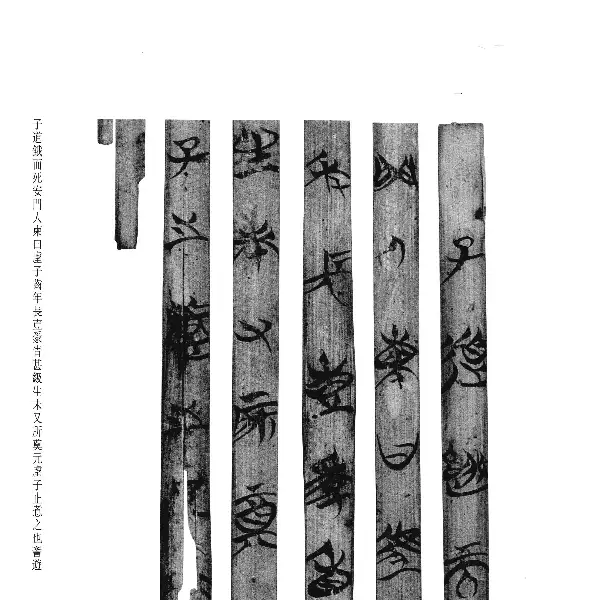 Volume 8