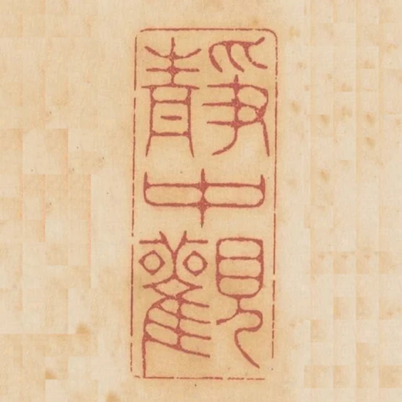 靜中觀