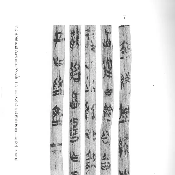 Volume 5