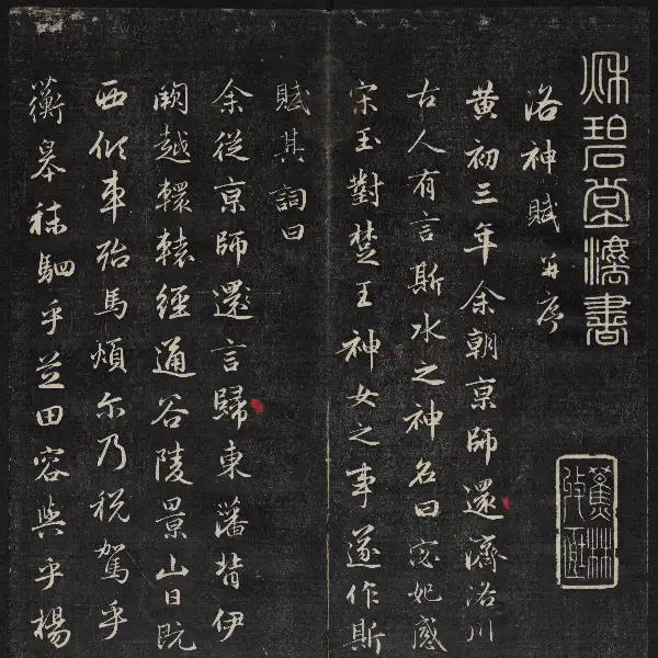 Volume 8