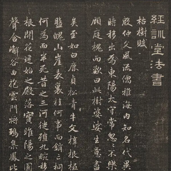 제6권